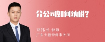 分公司如何纳税?