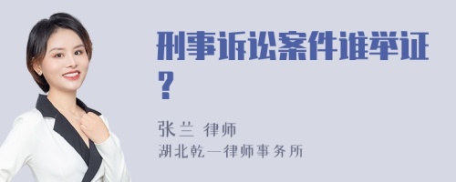 刑事诉讼案件谁举证？