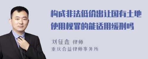 构成非法低价出让国有土地使用权罪的能适用缓刑吗