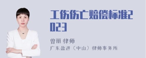 工伤伤亡赔偿标准2023