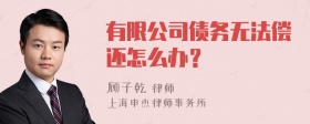 有限公司债务无法偿还怎么办？