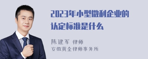 2023年小型微利企业的认定标准是什么