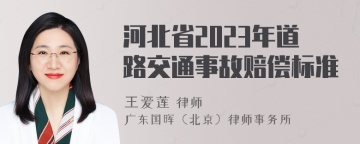 河北省2023年道路交通事故赔偿标准