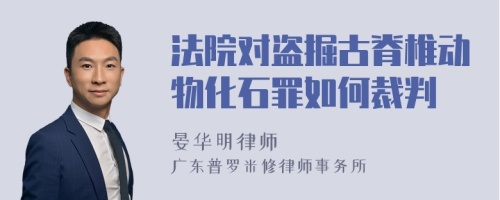 法院对盗掘古脊椎动物化石罪如何裁判