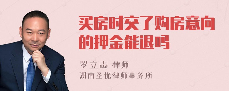 买房时交了购房意向的押金能退吗