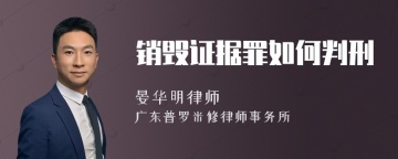 销毁证据罪如何判刑