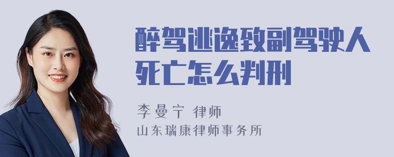 醉驾逃逸致副驾驶人死亡怎么判刑