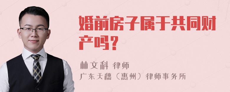 婚前房子属于共同财产吗？