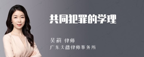 共同犯罪的学理