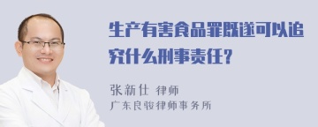 生产有害食品罪既遂可以追究什么刑事责任？