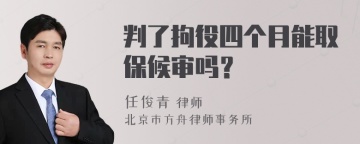 判了拘役四个月能取保候审吗？