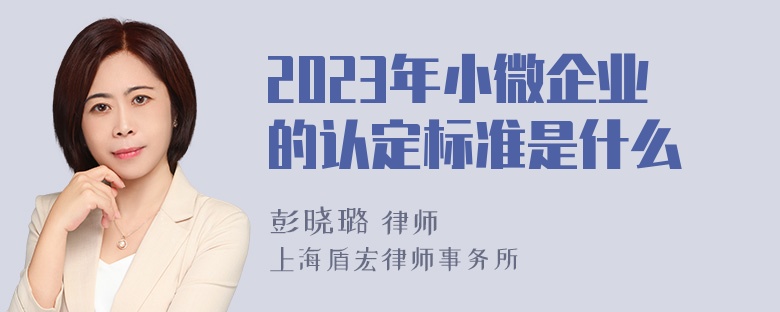 2023年小微企业的认定标准是什么