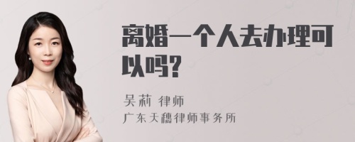 离婚一个人去办理可以吗?