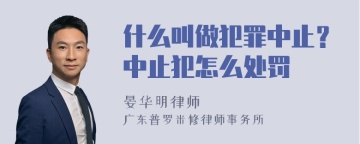 什么叫做犯罪中止？中止犯怎么处罚