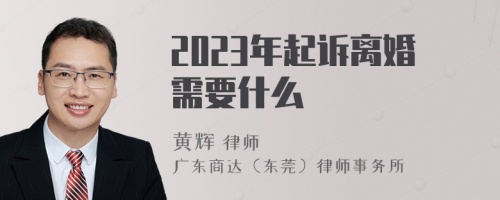 2023年起诉离婚需要什么