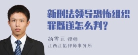 新刑法领导恐怖组织罪既遂怎么判？