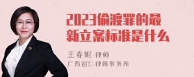 2023偷渡罪的最新立案标准是什么