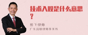 技术入股是什么意思?