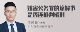 妨害公务罪的谅解书是否还能判缓刑