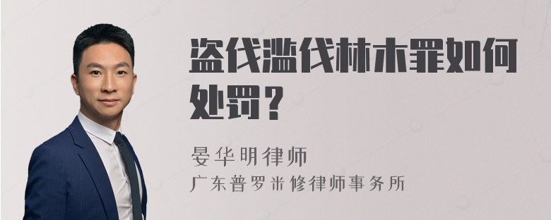 盗伐滥伐林木罪如何处罚？