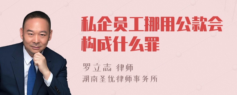 私企员工挪用公款会构成什么罪