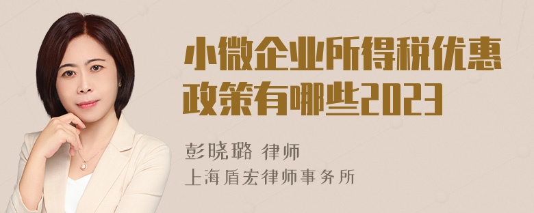 小微企业所得税优惠政策有哪些2023