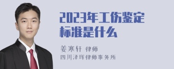 2023年工伤鉴定标准是什么