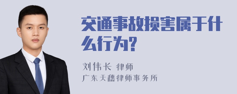 交通事故损害属于什么行为?