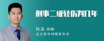 刑事二级轻伤判几年