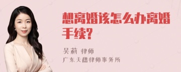 想离婚该怎么办离婚手续?