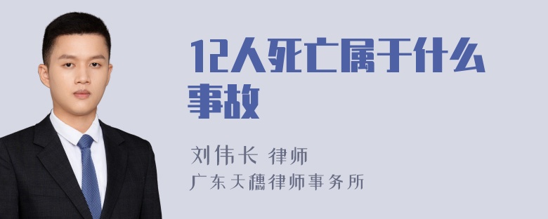 12人死亡属于什么事故