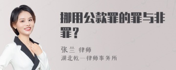 挪用公款罪的罪与非罪？