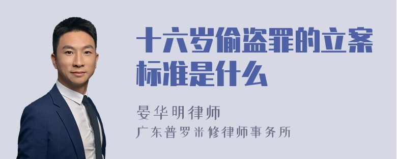 十六岁偷盗罪的立案标准是什么