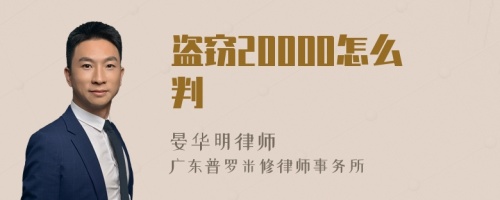 盗窃20000怎么判