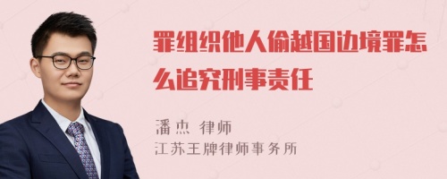 罪组织他人偷越国边境罪怎么追究刑事责任