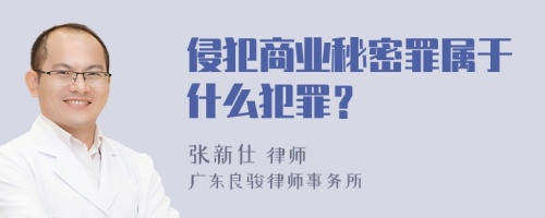 侵犯商业秘密罪属于什么犯罪？