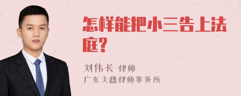 怎样能把小三告上法庭?