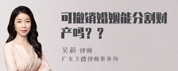 可撤销婚姻能分割财产吗？？