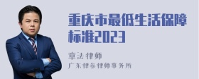 重庆市最低生活保障标准2023