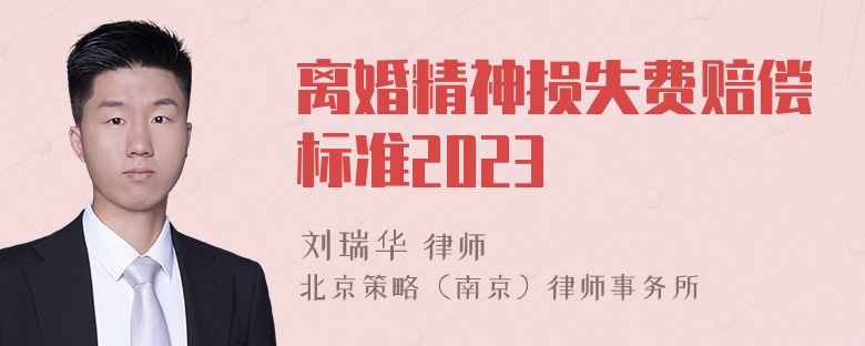 离婚精神损失费赔偿标准2023