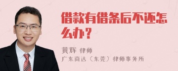 借款有借条后不还怎么办？