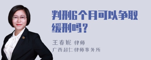 判刑6个月可以争取缓刑吗？