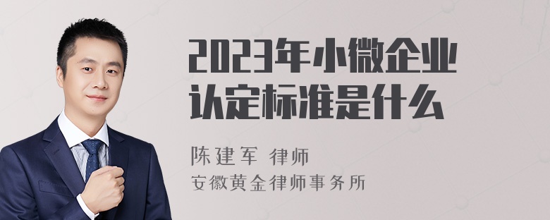 2023年小微企业认定标准是什么