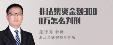 非法集资金额3000万怎么判刑