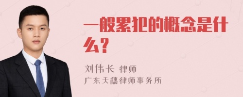 一般累犯的概念是什么？