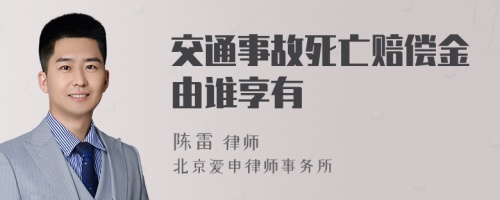 交通事故死亡赔偿金由谁享有