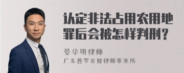 认定非法占用农用地罪后会被怎样判刑？