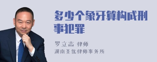 多少个象牙算构成刑事犯罪