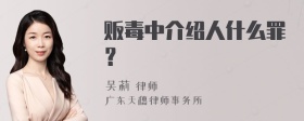 贩毒中介绍人什么罪？