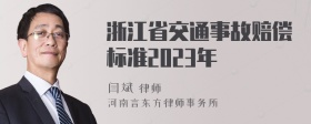 浙江省交通事故赔偿标准2023年